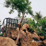 旅行攻略：古金陵四十八景之燕子矶