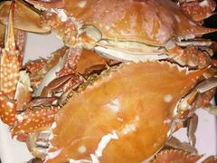-必点蒸汽海鲜(止锚湾店)