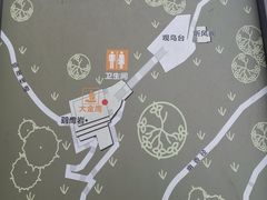 -大金鹰园