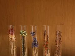 -左悦·艾灸调理·推拿按摩·精油SPA(卓悦汇店)