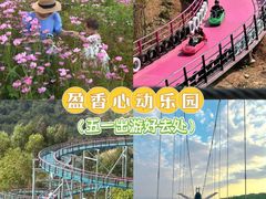 -盈香心动乐园