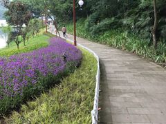 -重庆彩云湖湿地公园