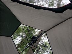 -合肥滨湖国家森林公园