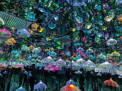 -天津梵高星空艺术馆(天河城旗舰店)