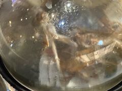 -半岛听涛蒸汽海鲜自助(K11店)