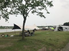 -春花秋色城市公园