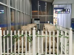 -南通兴东国际机场