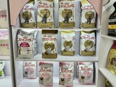 -青奢宠物·青奢猫舍