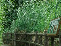 -成都市活水公园