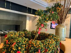 -春晖园度假酒店温泉