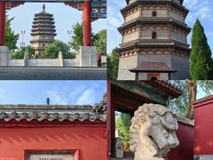 -真定郝家排骨(正定县总店)