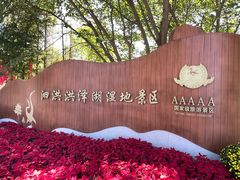 -泗洪洪泽湖湿地景区