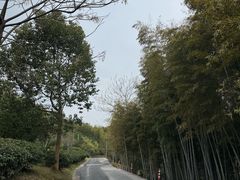 -南北湖风景区