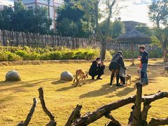 -泉州海丝野生动物世界