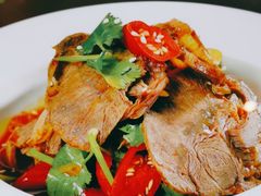 -宝燕壹号(长寿店)