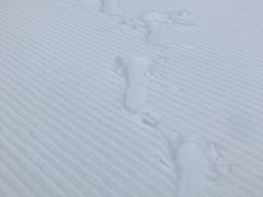 -大别山南武当滑雪场