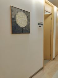 -丰联丽格医疗美容·联合丽格眼整形中心