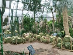 -北京植物园-展览温室
