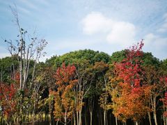 -嘉北郊野公园