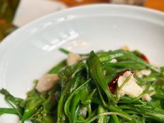 清炒海菜-山茶云南菜(永安里店)