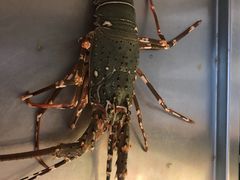 -班赞海鲜市场