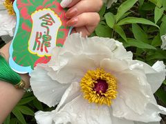 -洛阳市隋唐城遗址植物园