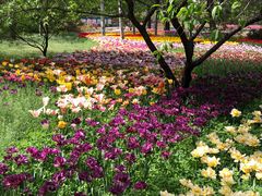 -国家植物园南园