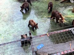 -深圳野生动物园