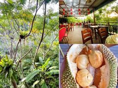 -万兴启丰椰子文化园餐厅
