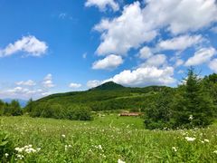 -白草畔自然风景区