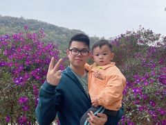 -南国桃园旅游度假区