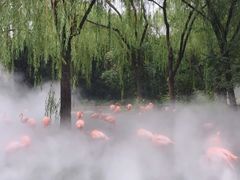 -石家庄市动物园