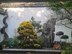 -杭州植物园