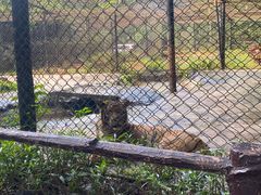 -海南热带野生动植物园