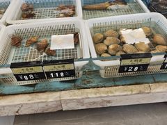 -莆鑫海鲜城(浏河店)