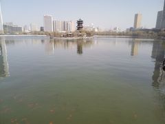 -迎泽公园