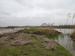 -春花秋色城市公园