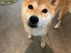 -三目仓咖啡(贤南路店)