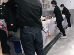 -YESIDO椰岛造型