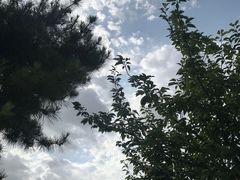 -大雁塔北广场音乐喷泉