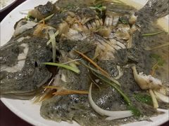 -正亮农家院·海鲜本地菜