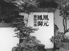 -凤凰御元艺术基地