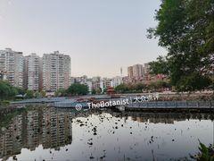 -潘塘公园