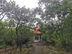 -榴花公园