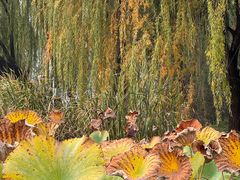 -WhaleSports户外水上运动俱乐部(朝阳公园店)