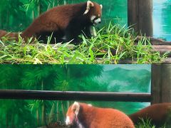 -常州淹城野生动物世界