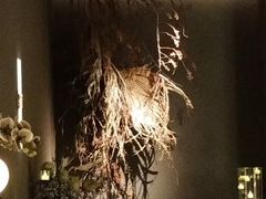 -安屿an·spa(卓悦中心商场店)