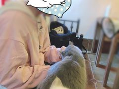 -李小姐の猫咖啡馆(五角场店)