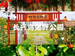 -上海长兴岛郊野公园