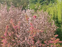 -梁鸿国家湿地公园